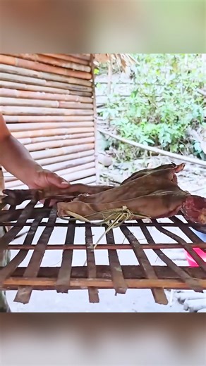 #EPS004 Wild Goat Tracking & Trapping Skills: Preserving Fresh Meat by Smoking Method #survivalskills #bushcraft #naturelife #survival | Monkey A