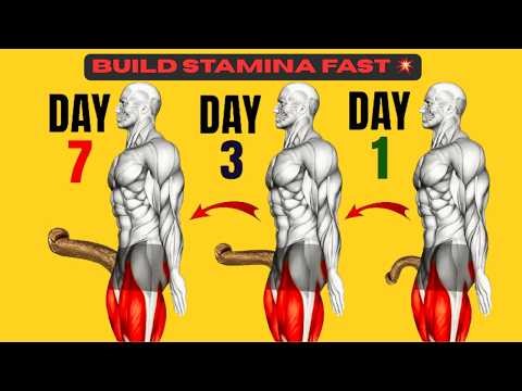 Top 4 Exercises to Build Stamina Fast | Boost Strength & Physical Performance