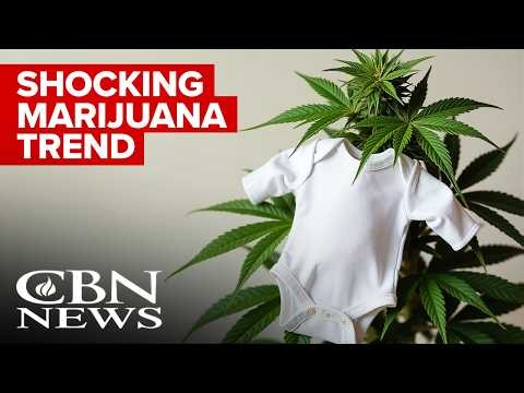 Shocking Marijuana Stats Raise Alarm Surrounding Kids