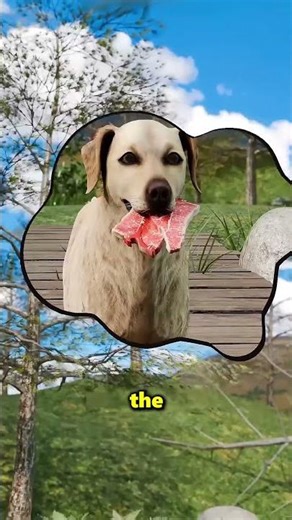 This Dog Was So Greedy He Lost His Piece Of Meat 😮