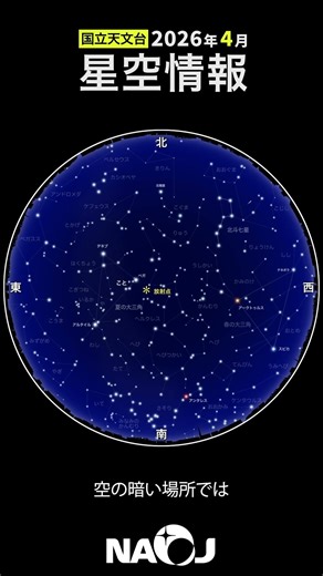 2026年4月の星空情報「4月こと座流星群が極大」 #Shorts #国立天文台 #流星群