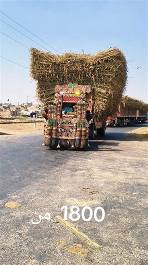 Belarus 510 tractor pulling heavy loAded trolley⚠️| 1800 man loaded trolley🔥#tractor