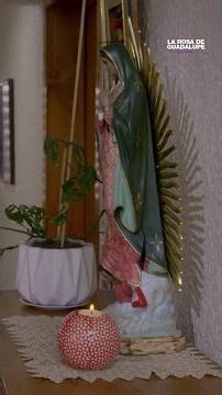 😠 ¡No voy a permitir que te vayas con ese sinvergüenza! 🚫 #LaRosaDeGuadalupe