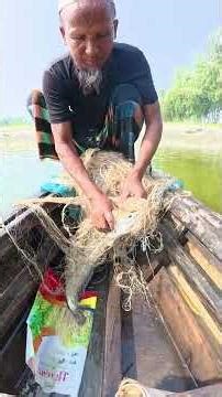 Amazing Traditional Net Fishing | Catching a GIANT Fish from a Wooden Boat! #fishing #bigfish