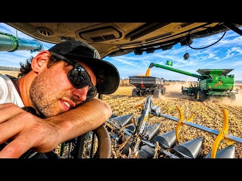 Corn Harvest Is Not Off To A Good Start!! Ep. 11