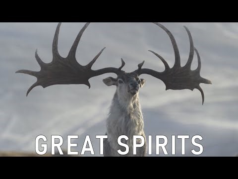 Ice Age - Great Spirits | Prehistoric Planet