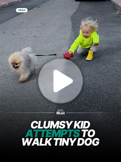 Clumsy Kid Has Fun With Tiny Dog During Walk