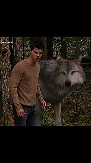 The Bella Fight Wolf vs Vampire 🐺🧛‍♂️ #twilight #shorts #trendingshorts #viralshorts #shortvideo