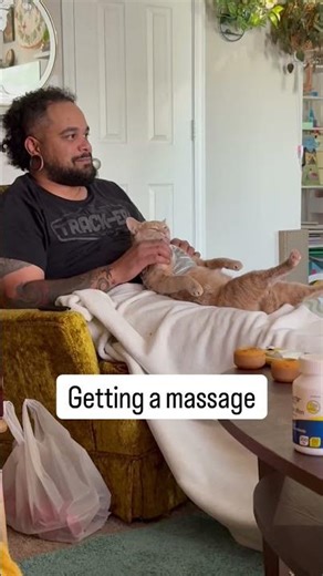 What is your cat’s love language?