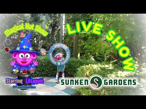 Magical Hat Show Live Commercial #kidslive #stpetersburgflorida