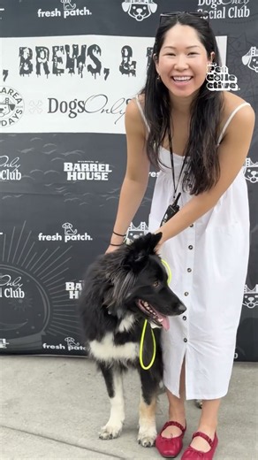 Barks Brews And Boos Dog Day Was Awesome!! 🎃🐕