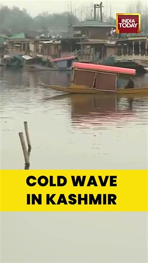 Srinagar Cold Wave: People Wear Warm Clothes at Dal Lake #Kashmir #Srinagar #DalLake #ColdWave
