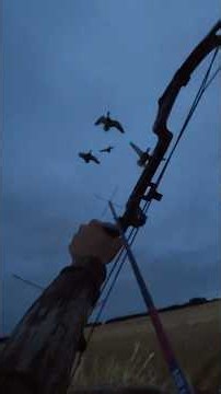 Bowhunting ducks! #duckhunting
