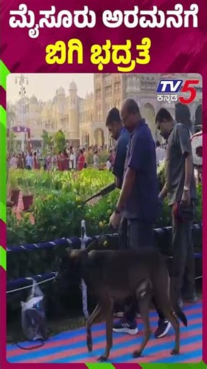 ಹೀಲಿಯಂ ಸ್ಫೋಟ..ಮೈಸೂರು ಅರಮನೆಗೆ ಬಿಗಿ ಭದ್ರತೆ | Tight Security At Mysuru Palace After Helium Blast