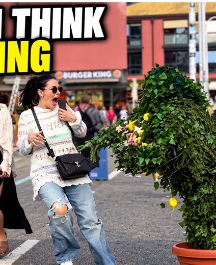 Bushman Prank: She Tried to Escape… But the Bush Was Alive! 😂
