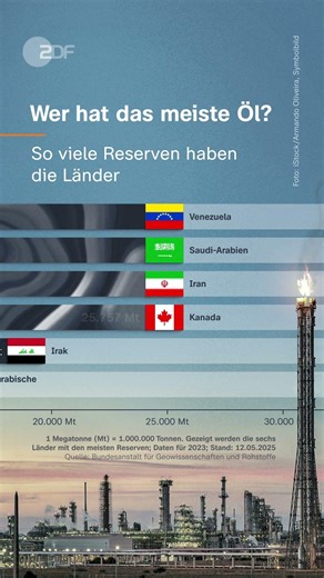 Wer hat das meiste Öl? | #shorts #short