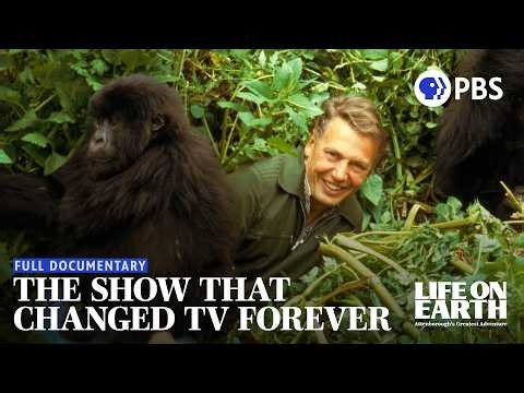 The Nature Show That Changed TV Forever | David Attenborough at 100 | Full Documentary
