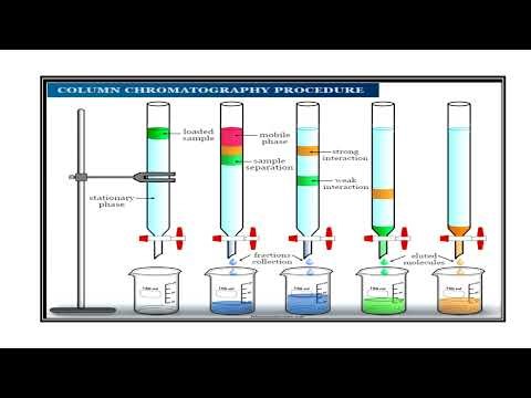 Steps of Chromatography Video No 1310