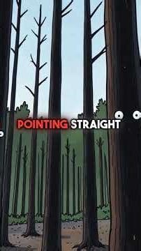 The 1908 Tunguska Explosion Was Actually an Alien Spacecraft Self-Destructing