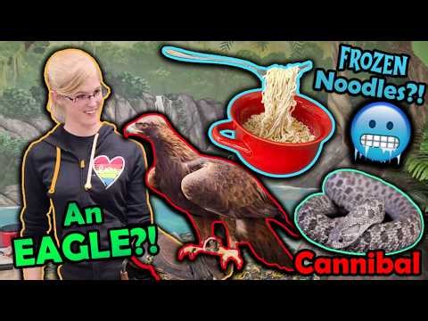 Weird Things that Happen at Snake Discovery (Shenanigans Ep. 10)