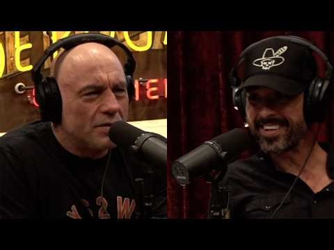 Gray Wolf Spotted in LA for the First Time in 100 Years