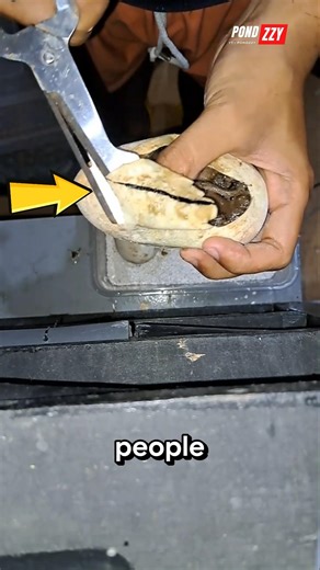 🐍😱 Why Baby Snakes Are More Dangerous Than Adult Snakes!