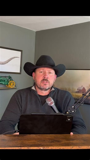 This Is What Could Flip the Cattle Market