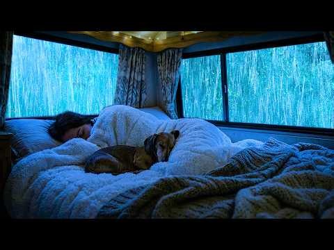 Rain Sounds for Sleeping - Rain Tapping the Car Roof Beneath Tall Trees and Distant Thunder