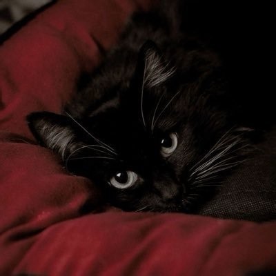 ruby🍒 (@kiowalaa) / Posts / X