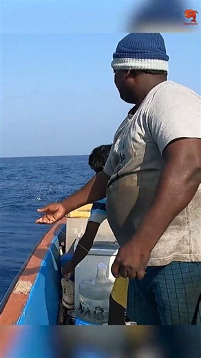 Catching Mahi Mahi Fish in the Deep Sea #fishing #fishingvideo #fishingtime