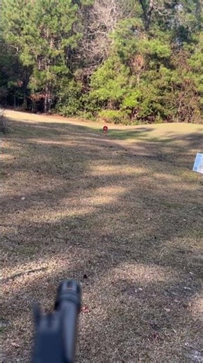 PSA AR-15 M4 — Outdoor POV First Shots | Mount Test #shorts