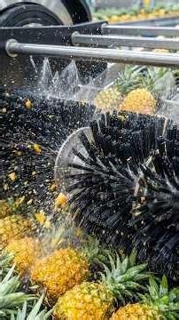 From Pineapple Leaves to Stylish Jackets & Pants| Manufacturing Process #clothes