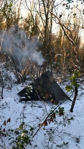Snowstorm Hot Tent Camping with My Dog #bushcraft #camping #survival