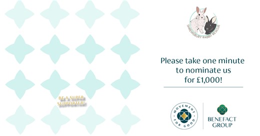 𝗣𝗹𝗲𝗮𝘀𝗲 𝘃𝗼𝘁𝗲 𝗳𝗼𝗿 𝘂𝘀! Vote for a chance for us to win a £1,000 Movement For Good Grant from the Benefact Group. Please share this far and wide! Follow the link to register your vote👇 https://movementforgood.com/draws/1000?cn=1212252&ct=animals_and_wildlife&i=1768304957-28706.gif&utm_source=holiday card&utm_medium=social&utm_campaign=M4G2025card&utm_id=M4G2025card#nominateACharity | Shrewsbury Rabbit Rescue