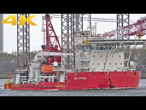 🛳️ WORLD-CLASS 4K SHIPSPOTTING AT THE PORT OF ROTTERDAM 2025