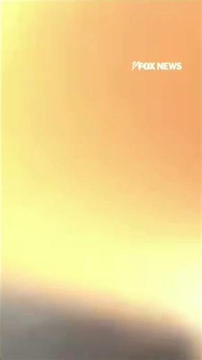 WATCH: Officers rescue woman who appeared to be in crisis standing on a bridge #fox #media #news