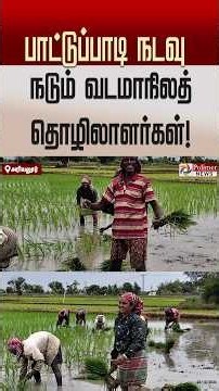 பெங்காலி மொழியில் பாட்டுப்பாடி நடவு நடும் வடமாநிலத் தொழிலாளர்கள்!#Ariyalur | #Farming | #WestBengal