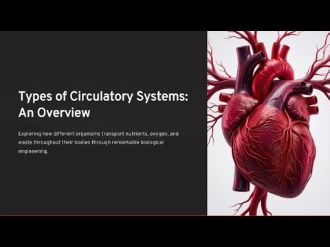 🔴 Types Of Circulatory System An over view