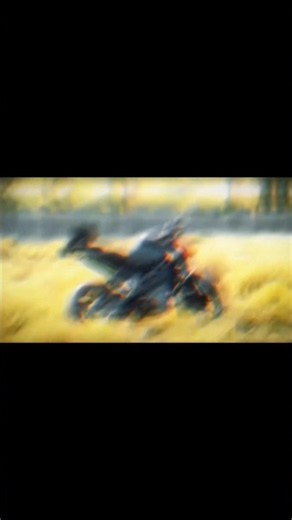 Black Beast in Golden Field 🌾 | KTM Duke 200 Cinematic | The King of Duke