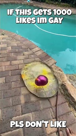 Duck EXPLODES #satisfying #duck #viral