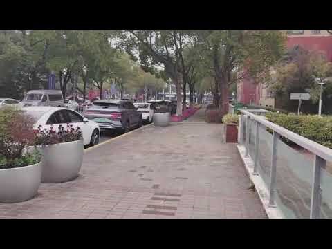 Maduro’s Chinese Name 马杜罗 (Mǎ Dù Luó):A Warning He Missed.