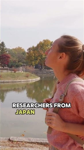 Insane Find Buried Beneath the Great Pyramid #archaeology #wow