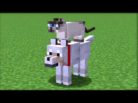 150 Minecraft Java vs Bedrock Differences