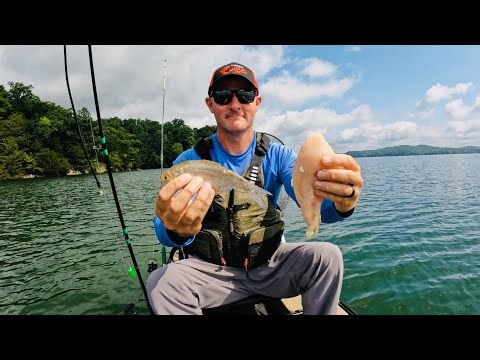 Kayak Catfishing with Chicken and Shad for Summer Catfish Action | Old Town Sportsman 120 Pro