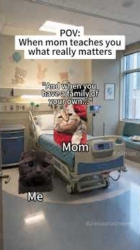 CAT MEMES🐱When mom teaches you what really matters #catmemes #memes #funnymemes #funny #relationship