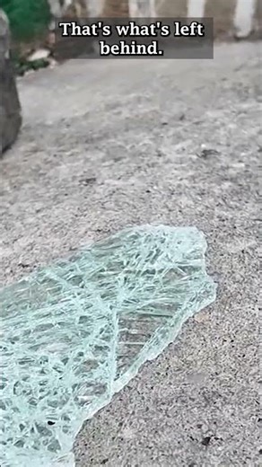 Police search for 3 suspects in shooting at Bronx deli | News 12