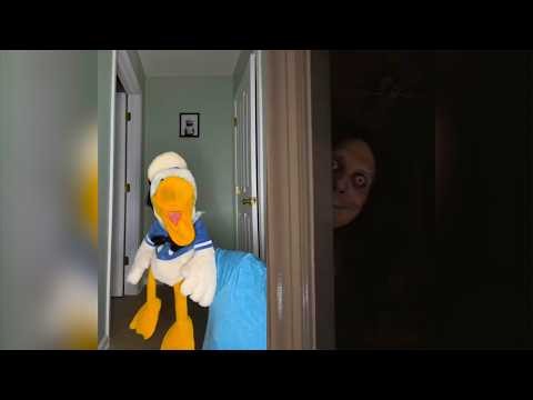 Donald Ducc SCARIEST TikToks 269 (DO NOT BE SCARED CHALLENGE)