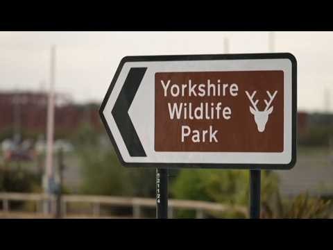 Man dies after jumping into tiger enclosure at UK zoo