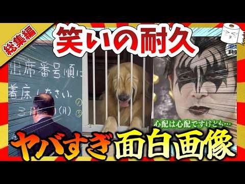 【🔥爆笑：総集編】37分笑いの耐久！ヤバ過ぎる面白画像＆映像集！