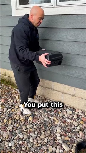 Easiest Way to Get Rid of Mice #shorts